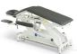Preview: Lojer Delta Professional LDP5 Therapieliege mit Dachstellung