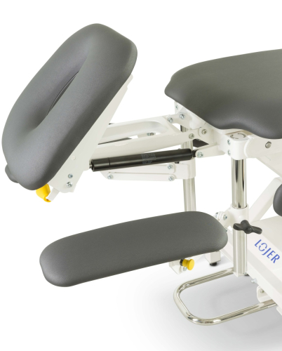 Lojer Delta Professional LDP5 Therapieliege mit Dachstellung